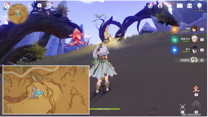 原神灵谷木在什么位置-原神3.6灵谷木点位一览