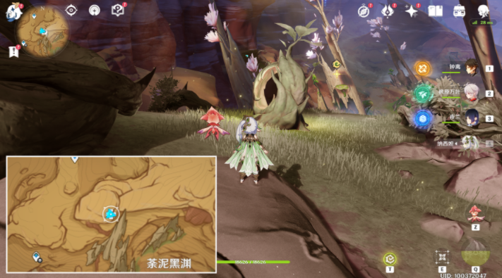 原神灵谷木在什么位置-原神3.6灵谷木点位一览