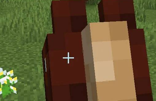 我的世界怎么骑马-骑马详细教程