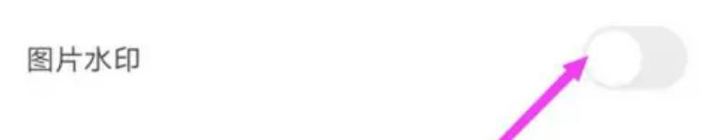 住小帮图片水印关闭步骤-住小帮图片水印如何关闭
