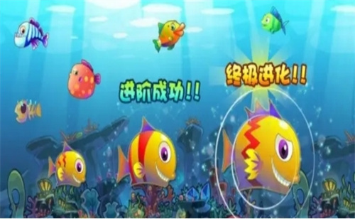 免费的大鱼吃小鱼游戏单机版大全-2023不用联网的大鱼吃小鱼游戏下载