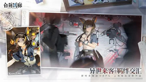 《白荆回廊》烙痕属性介绍-《白荆回廊》SSR烙痕属性一览