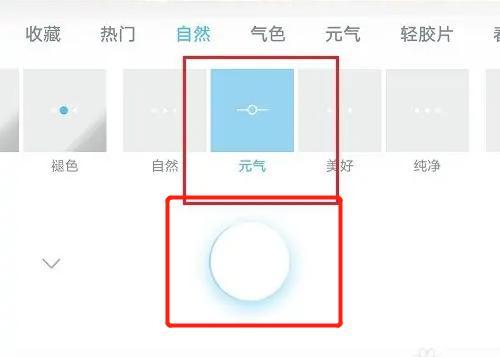 水柚相机添加滤镜的方法步骤-水柚相机如何添加滤镜