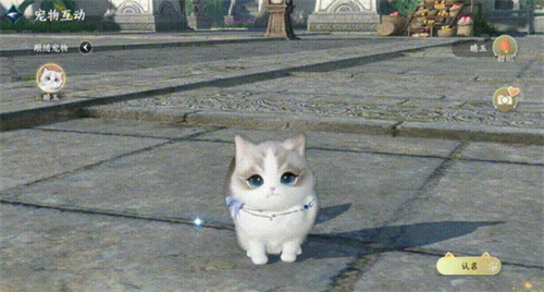 《逆水寒》全新江湖身份：铲屎官即将上线