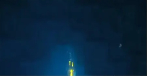 《潜水员戴夫》动物颅骨在哪-《潜水员戴夫》动物颅骨获得方式图文攻略