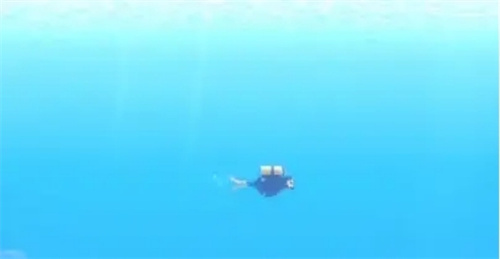 《潜水员戴夫》动物颅骨在哪-《潜水员戴夫》动物颅骨获得方式图文攻略