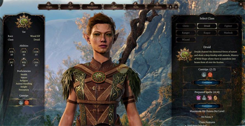 《博德之门3》德鲁伊是什么职业-《博德之门3》德鲁伊职业简介