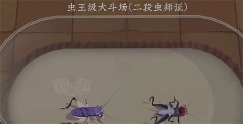 《沉默的蟋蟀》功虫有什么用-《沉默的蟋蟀》功虫介绍