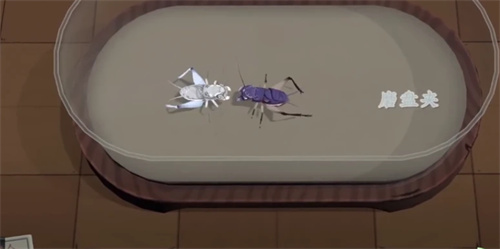 《沉默的蟋蟀》功虫有什么用-《沉默的蟋蟀》功虫介绍