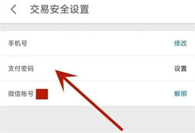 支乎钱包设支付密码方法步骤-支乎钱包如何设支付密码