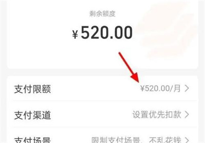 支付宝亲情卡金额方法步骤-支付宝如何设置亲情卡金额