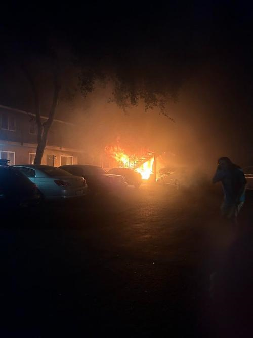 《星空》同伴用什么武器好-同伴武器选择简介