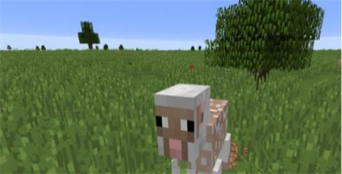 4人玩的单机游戏有哪些-2023热门的4人单机游戏大全