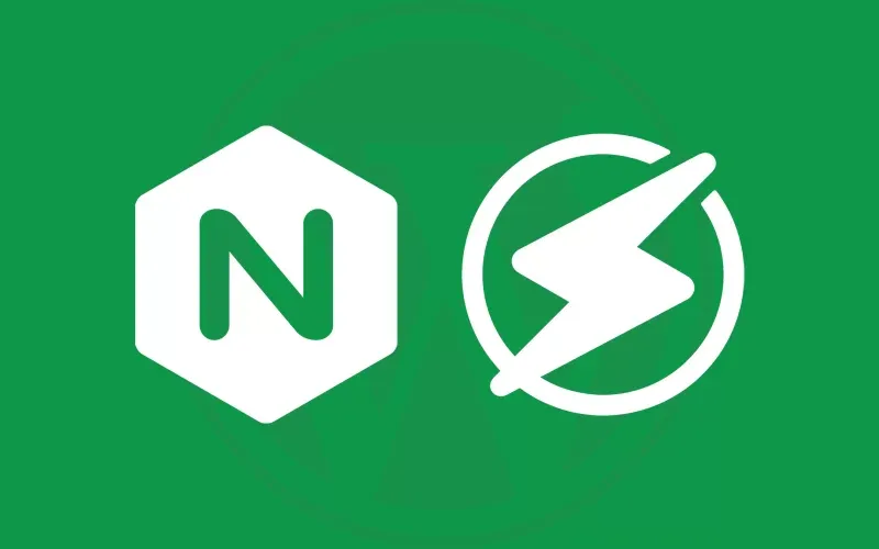 Nginx和OpenLiteSpeed哪个更适合WordPress