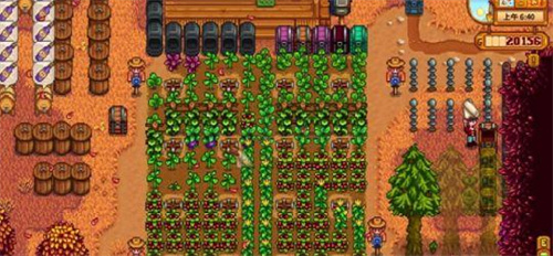 《星露谷物语》耕种等级怎么升-提升耕作等级的方法