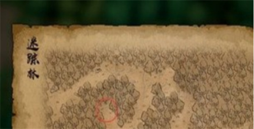 《大侠立志传》迷踪林宝藏图位置-迷踪林宝藏图去哪里找