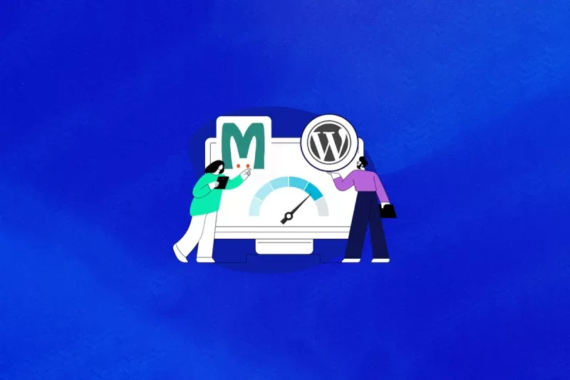 十万篇内容的WordPress网站需要多大内存