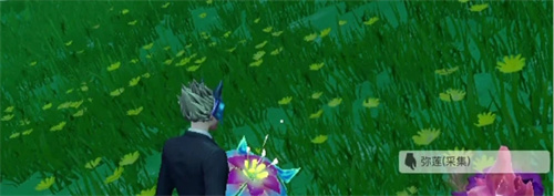 《创造吧我们的星球》弥莲位置在哪-弥莲获得攻略